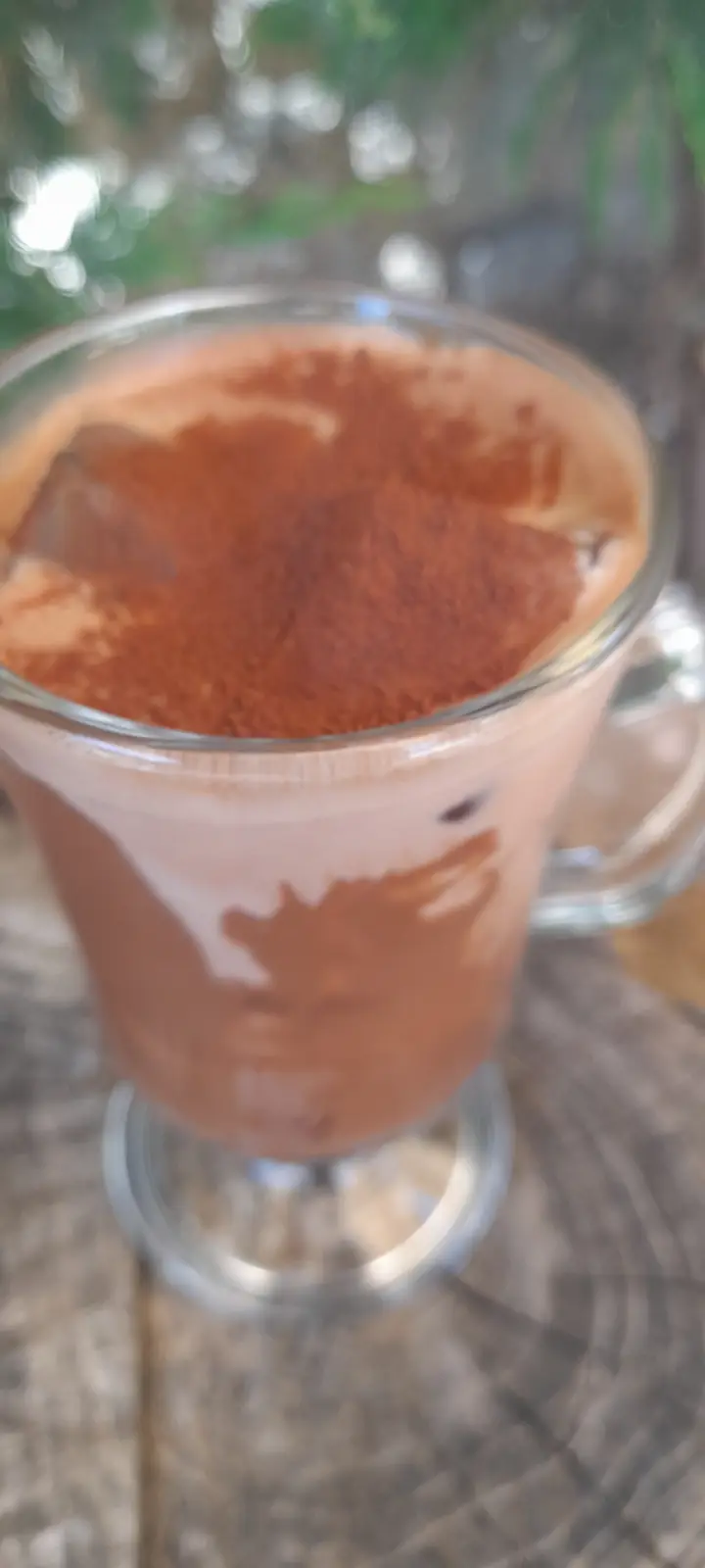 Chocolate Ice Milkshake