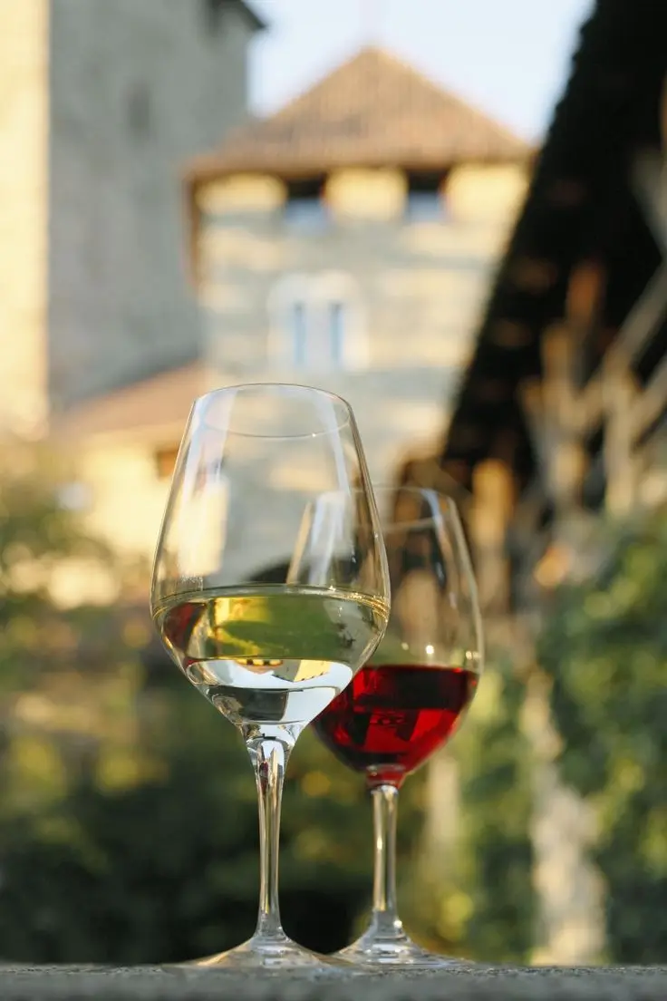 WINE GLASS