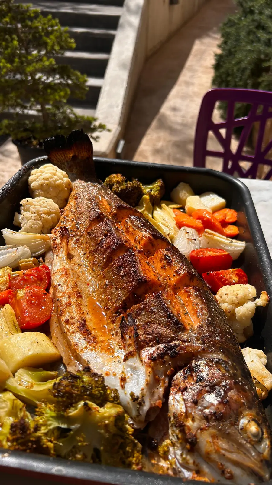 OVEN BAKED FISH:  SALMON